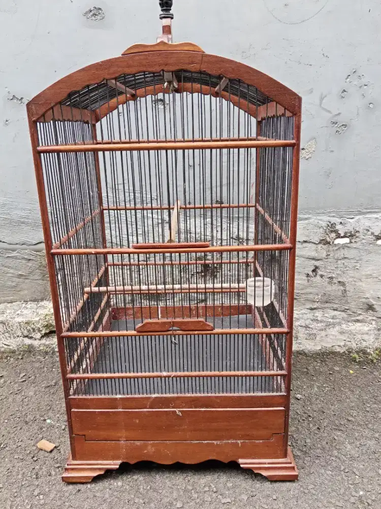 Kandang burung kosan jati