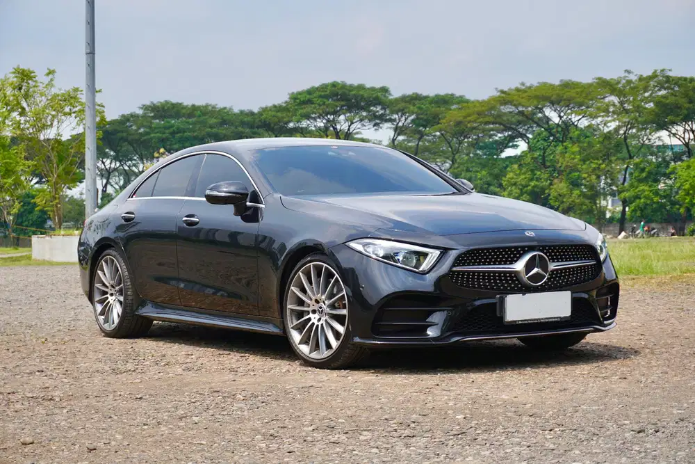 CLS350
Coupe AMG C257 EQ-Boost 2019