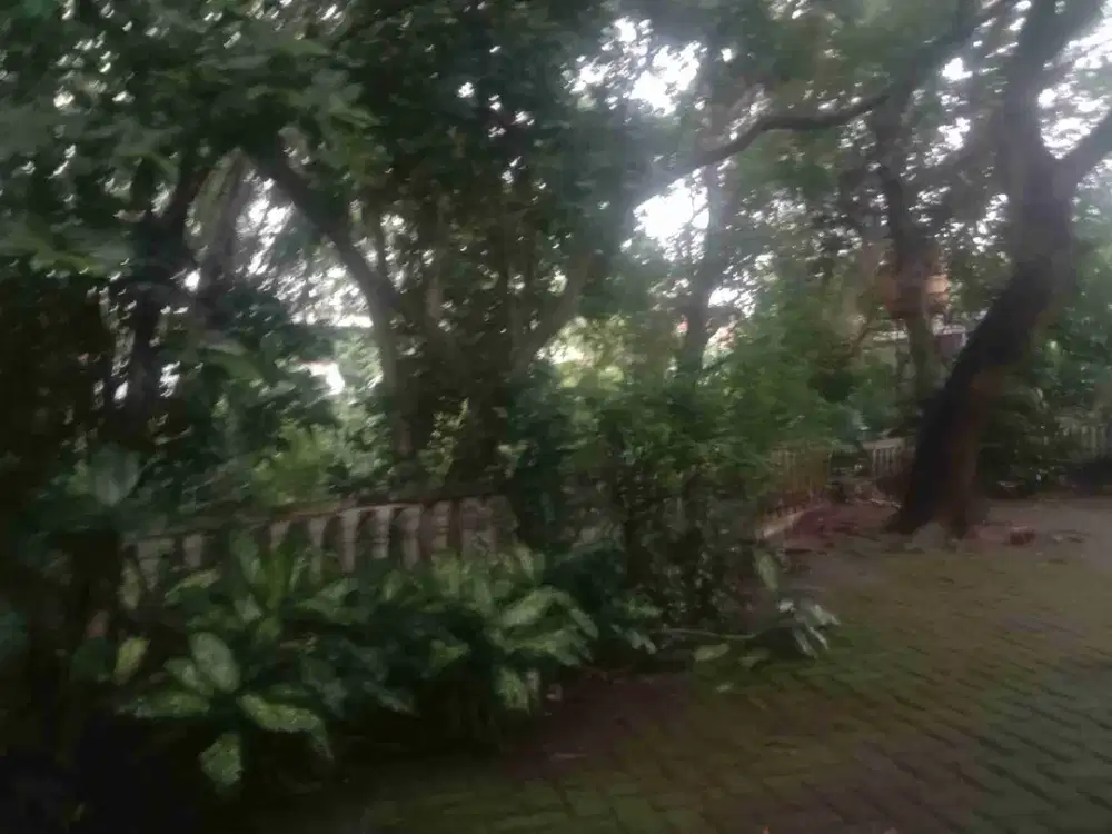 Dijual Tanah Strategis Di jln Margonda dekat UI dan Margo city Depok