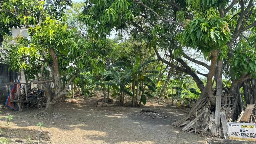 Dijual Tanah SHM tanpa perantara