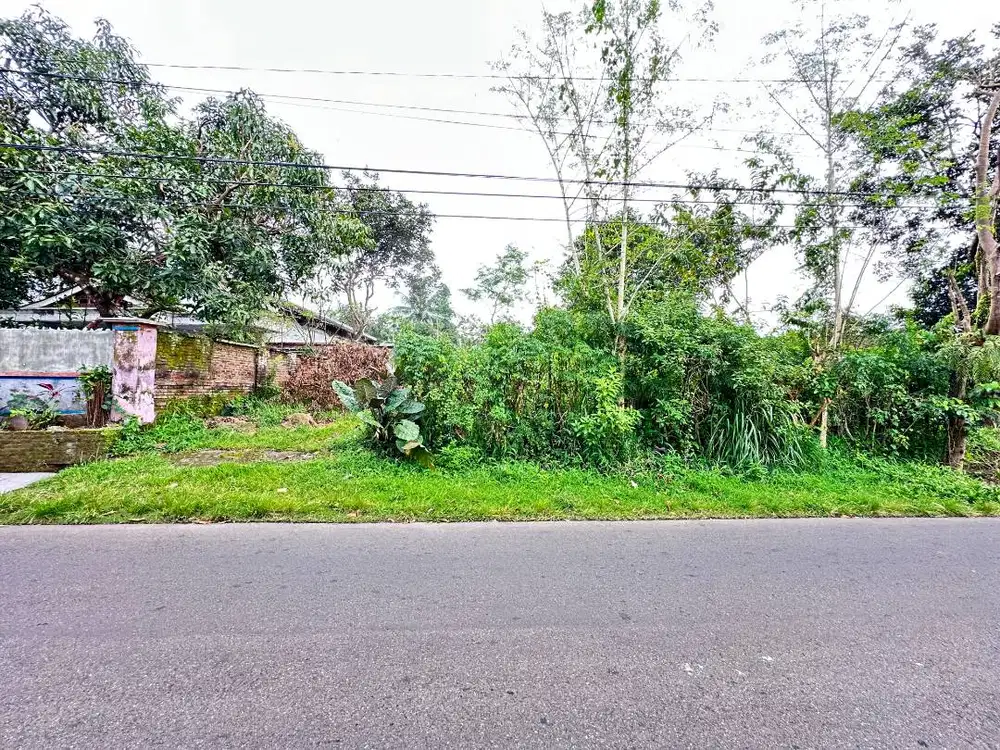 Dijual tanah luas di pinggir jalan utama
