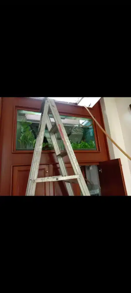 Jasa Kuras,membersihkan aquarium/kolam
