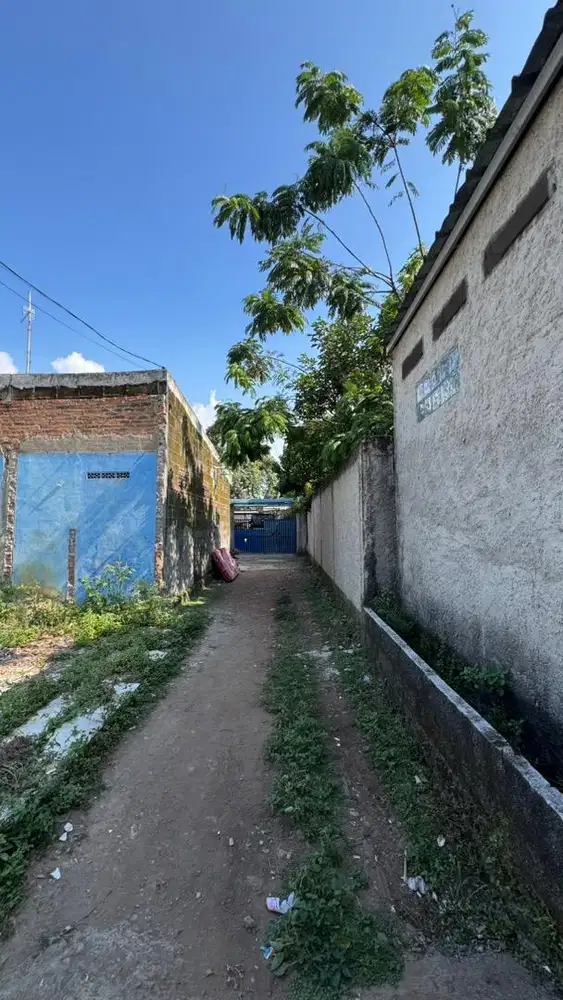 Di jual tanah 100 m