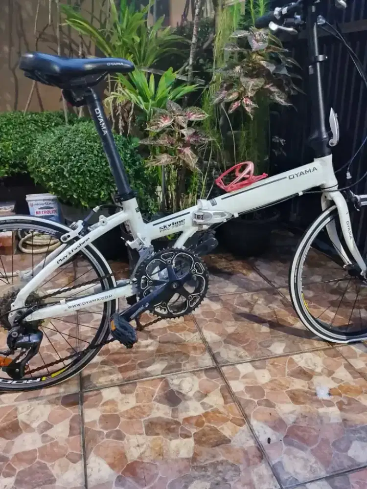 Oyama skyline pro(ORI)