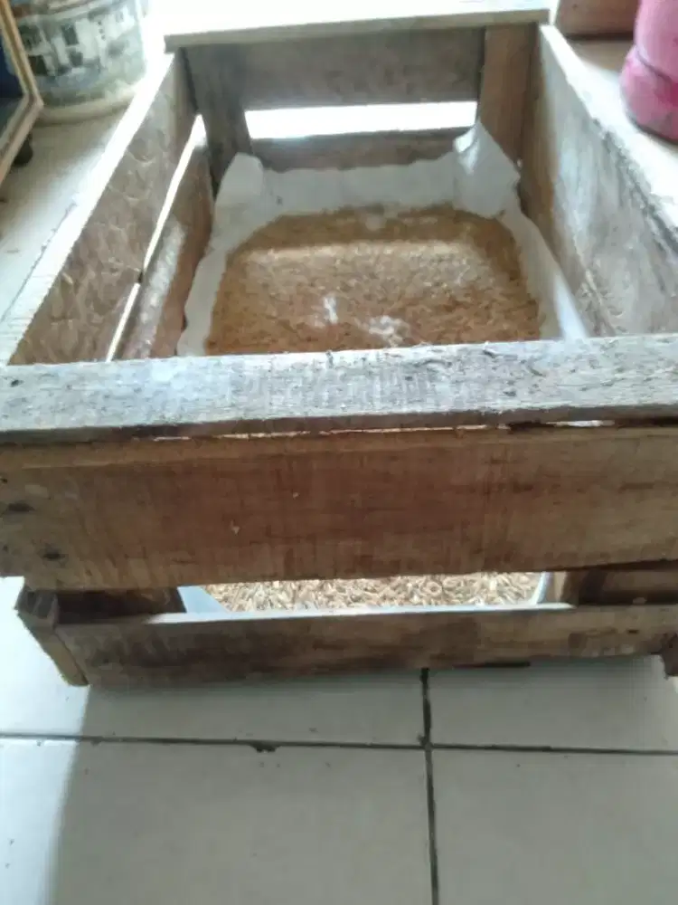 Peti telor bekas