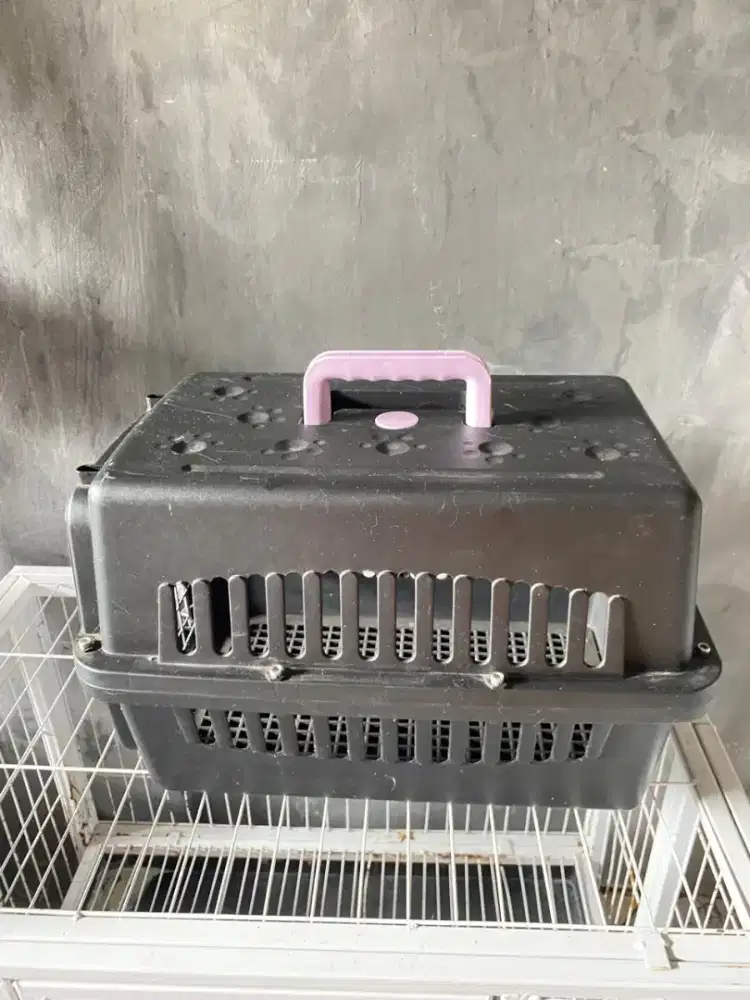 Di jual pet cargo ukuran jumbo jumlah ada 2 box