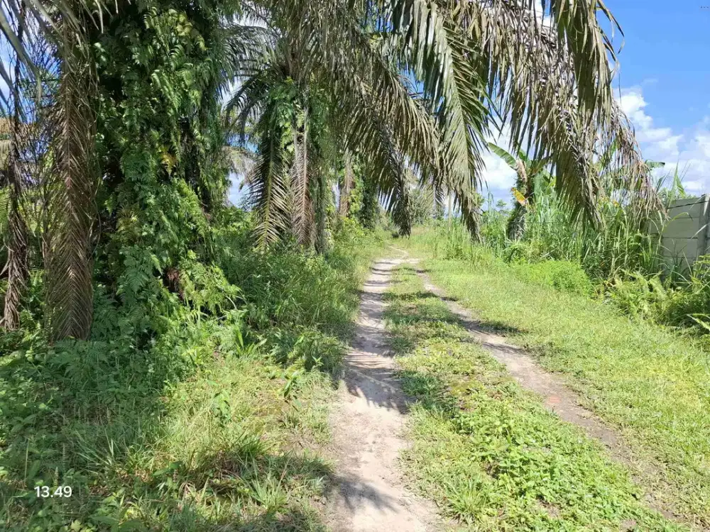 Tanah jalan Seroja kulim Dekat Taman Refi