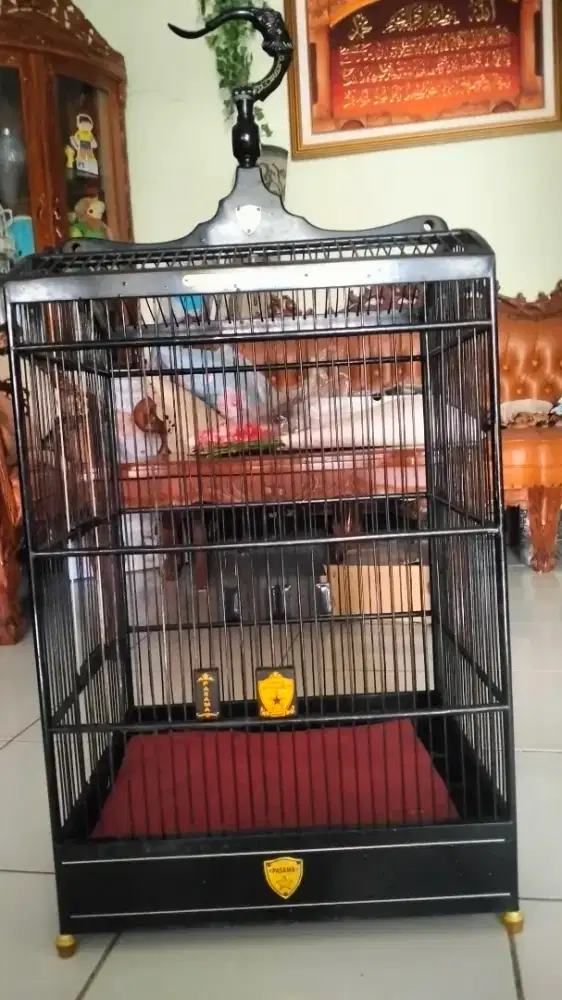Kandang pasama no 1