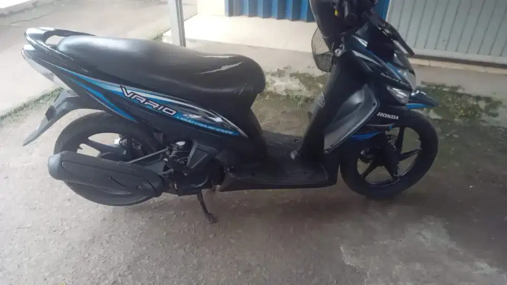Vario 110 pjk of