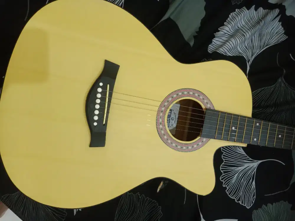 Gitar artisa, AR VTS9