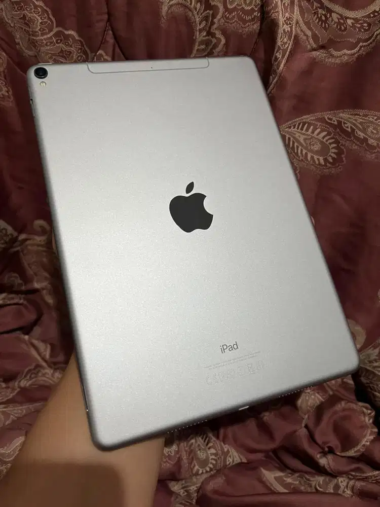 Ipad pro 10.5 256gb celluler+wifi istimewa