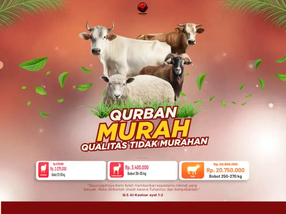 QURBAN MURAH – KUALITAS TIDAK MURAHAN
