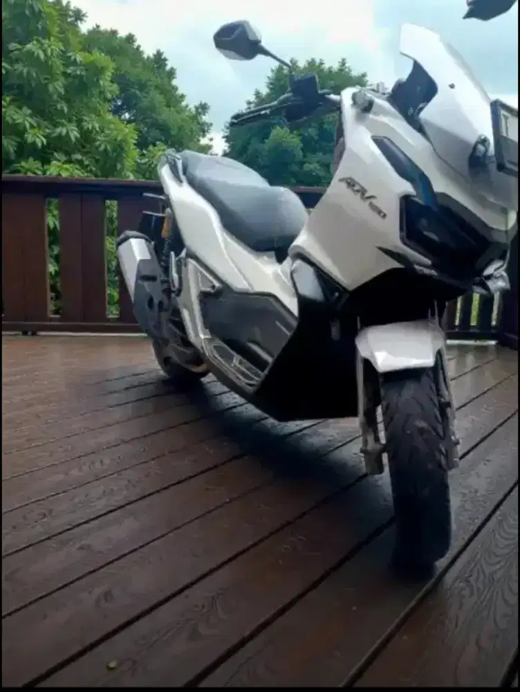 Honda ADV putih mutiara