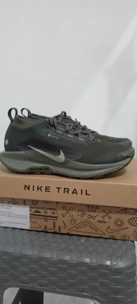 Nike Pegasus Trail 5 goretex Original