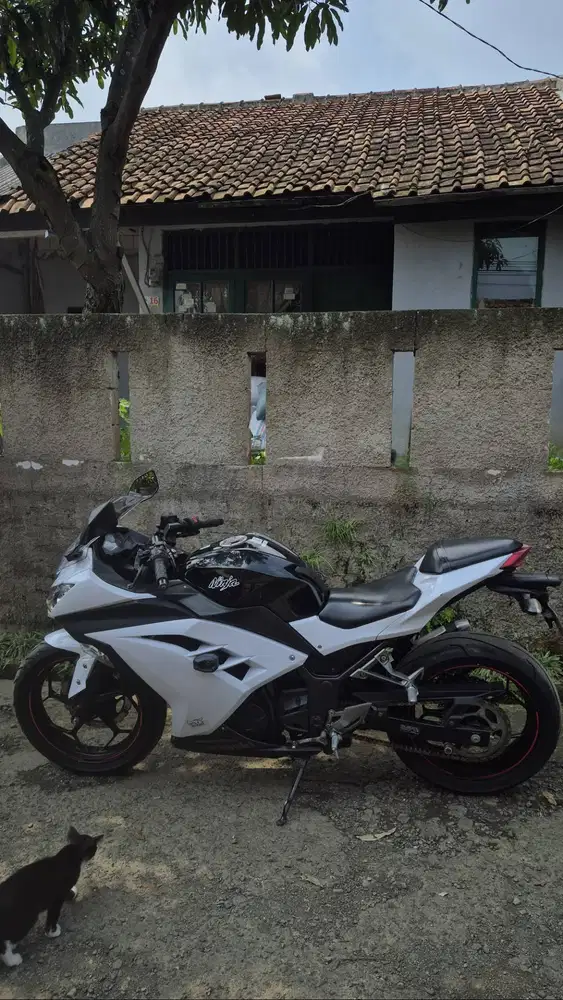 Kawasaki Ninja 250 FI ABS Tahun 2014