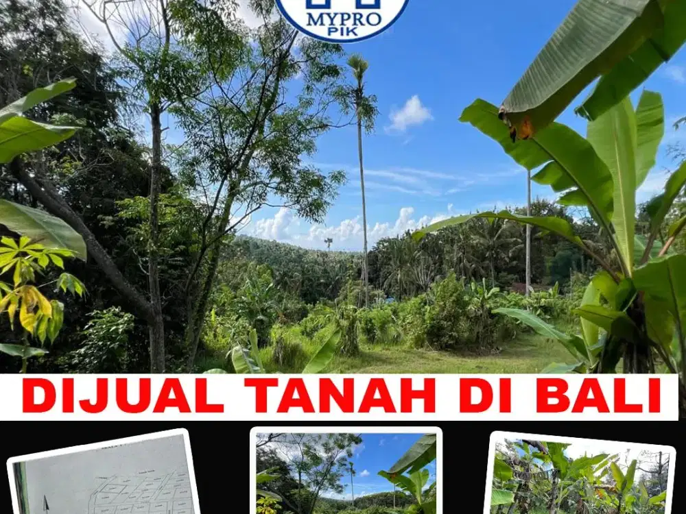 Tanah Dijual di Bali