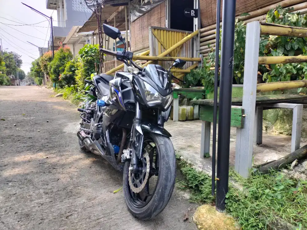 Kawasaki Z250 2013