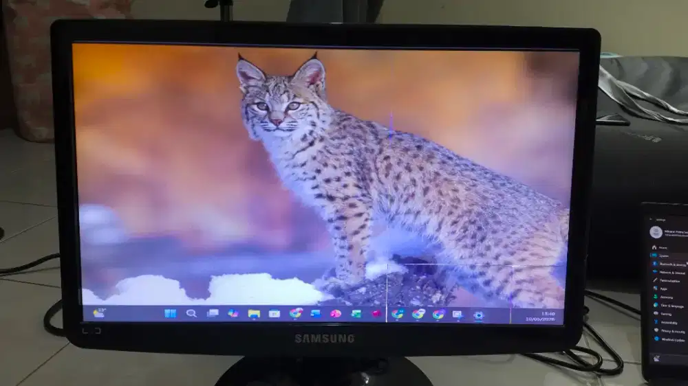 Monitor Samsung 19 Inch, LS19A100
