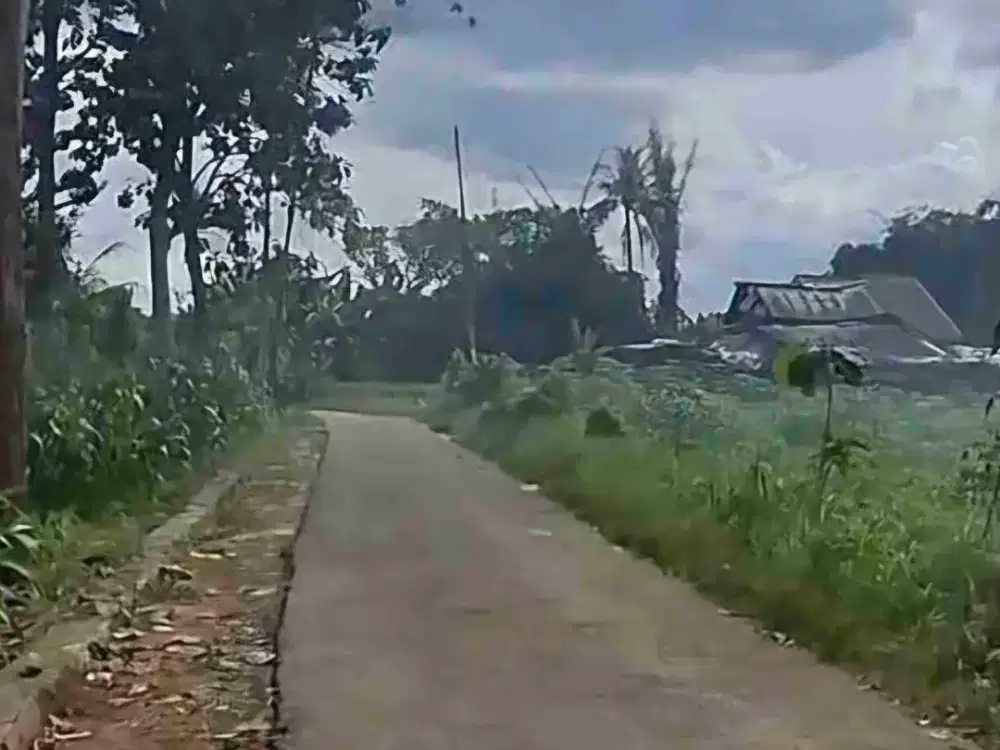 tanah 8000 meter di rajabasa