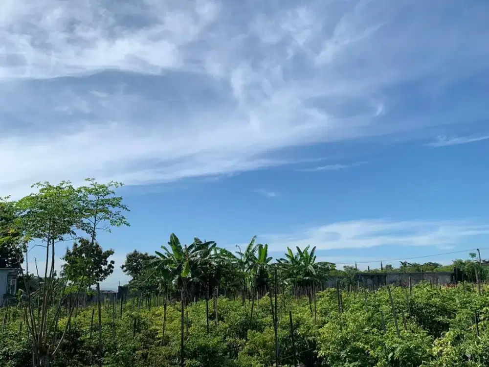 Dijual Tanah Murah Full View Pegunungan | Area Perumahan Nyaman & Asri
