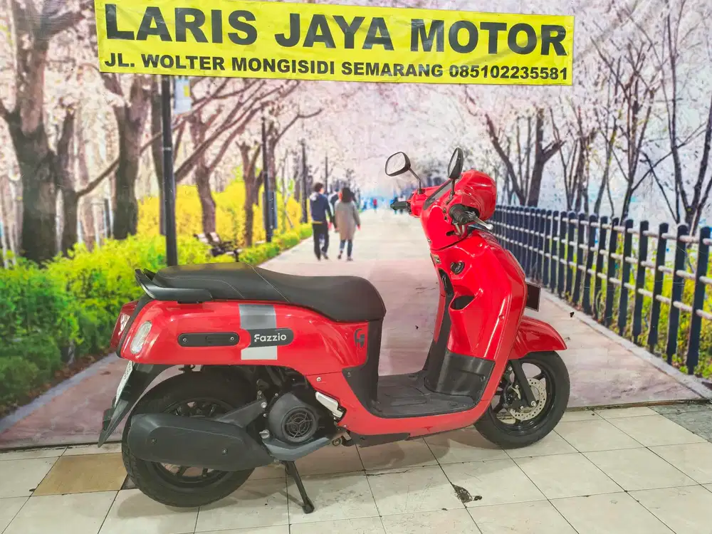 Fazzio keyles istimewa