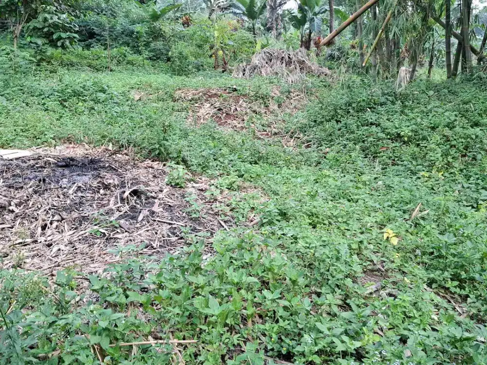 JUAL CEPAT TANAH UNTUK MAKAM KELUARGA