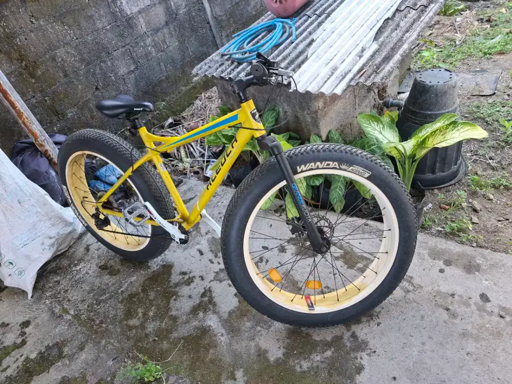 Dijual sepeda ALEOCA