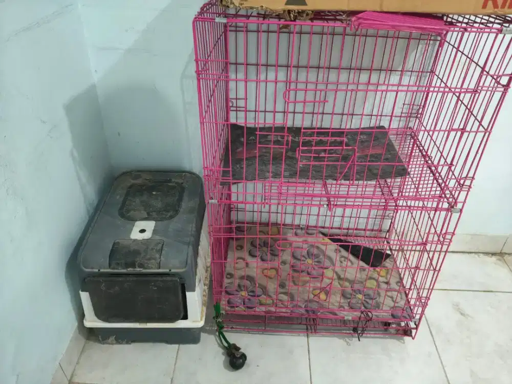 Dijual toilet kucing free kandang lipat