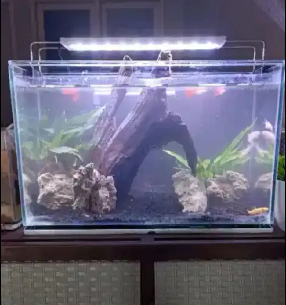 Aquarium aquascape fullset berikut isinya
