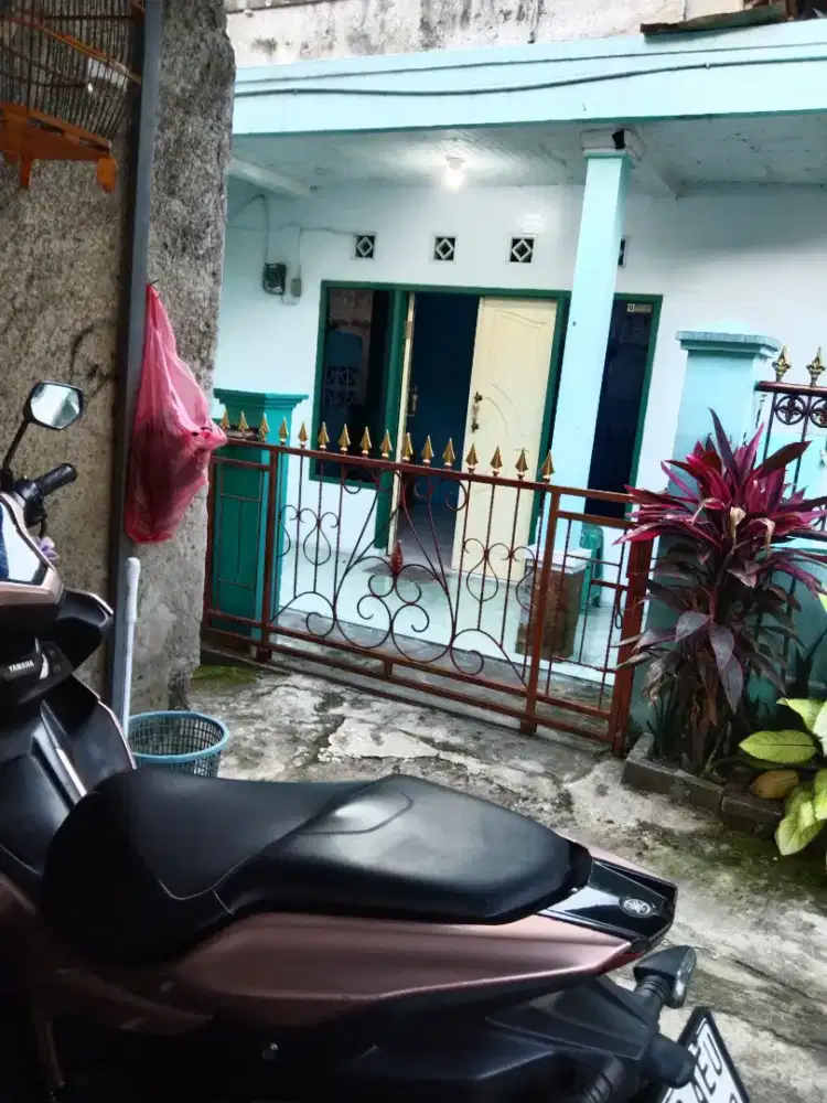 Di kontrakan  2 buah rumah dn 1  kosan