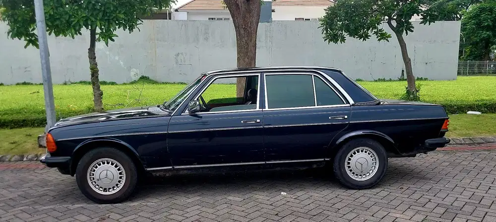Mercedes-Benz Tiger 1981 Bensin