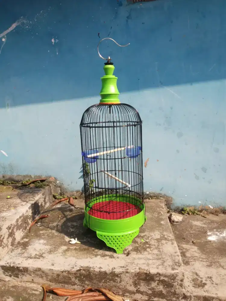 Sangkar burung Prenjak dll