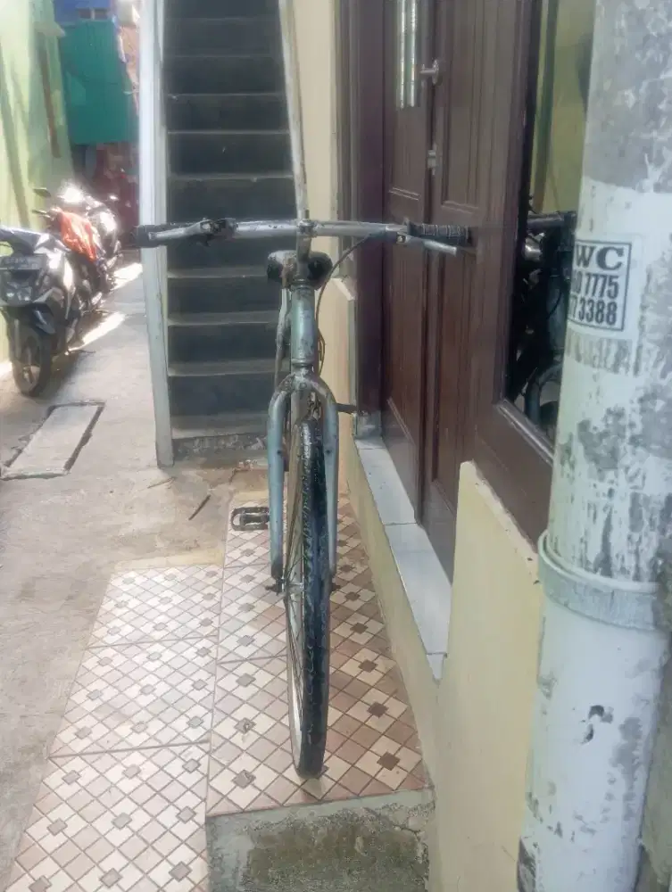Di jual sepeda federal ledis