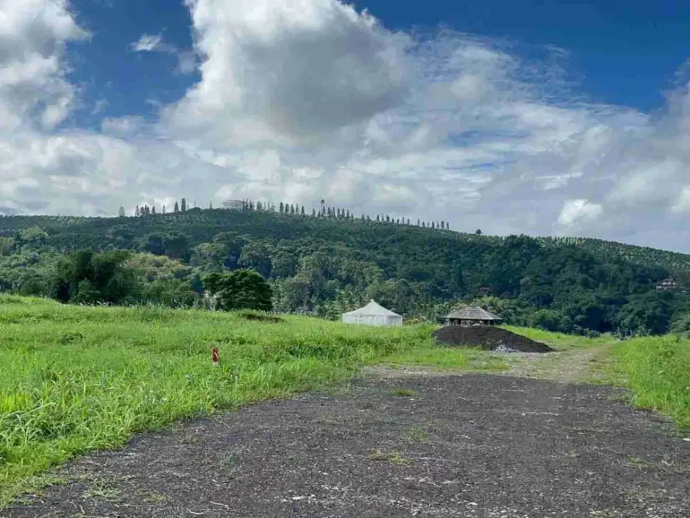 jual tanah puncak  dekat jalan raya utama puncak dekat Cimory dairiland