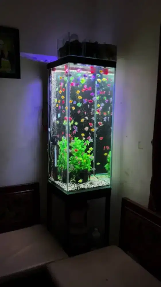Aquarium Tower Ikan