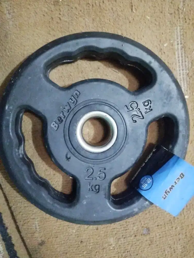 BERWYN 2.5KG murah