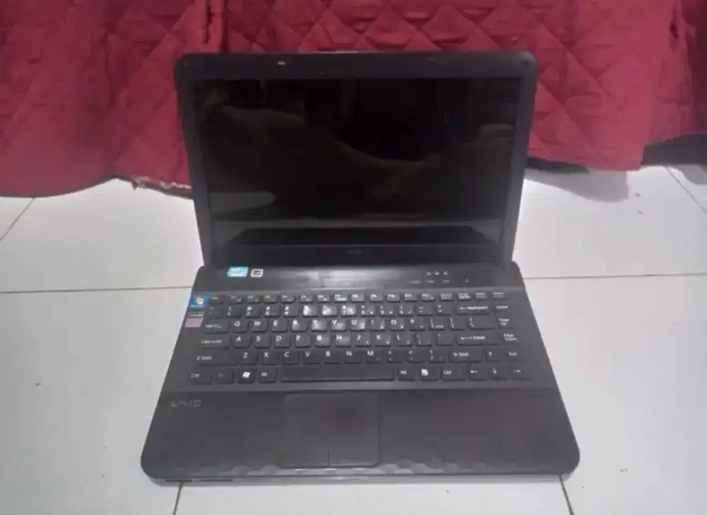 Sony Vaio minus hardisk