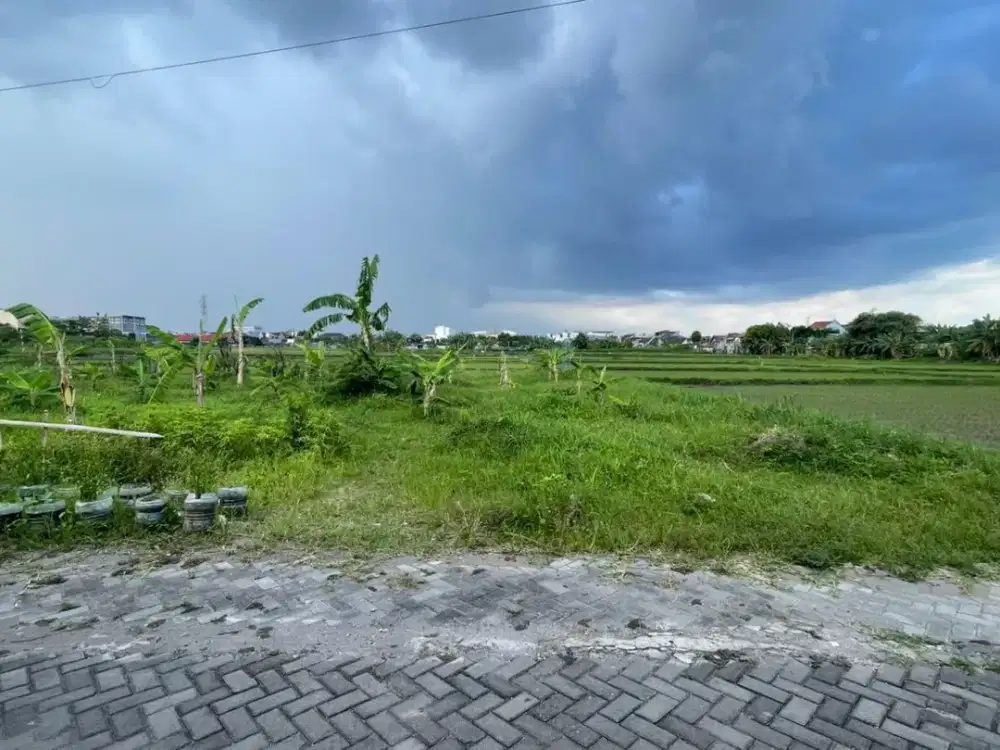 Langka, Tanah Tengah Kota Jogja View Sawah