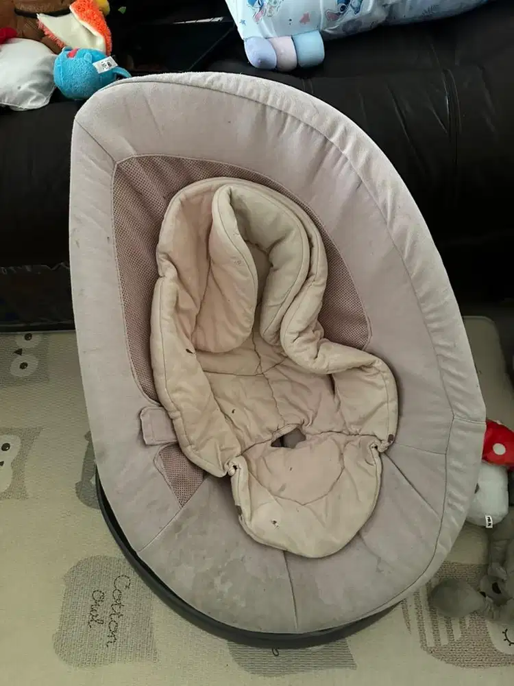Baby bouncer nuna