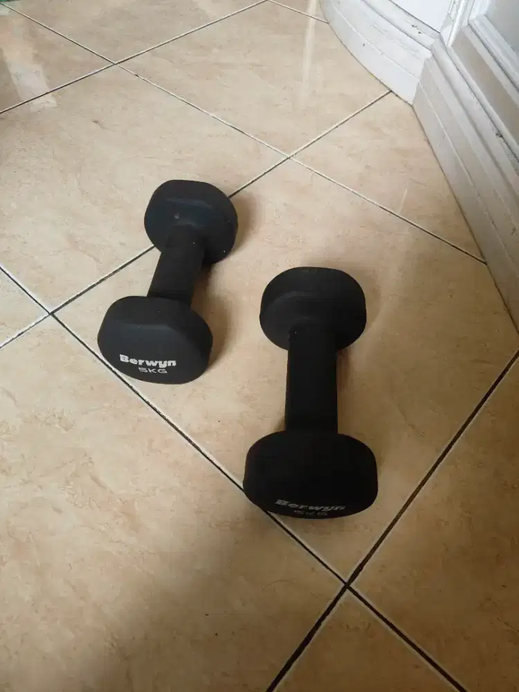 2 Dumbbell 5KG Sepasang