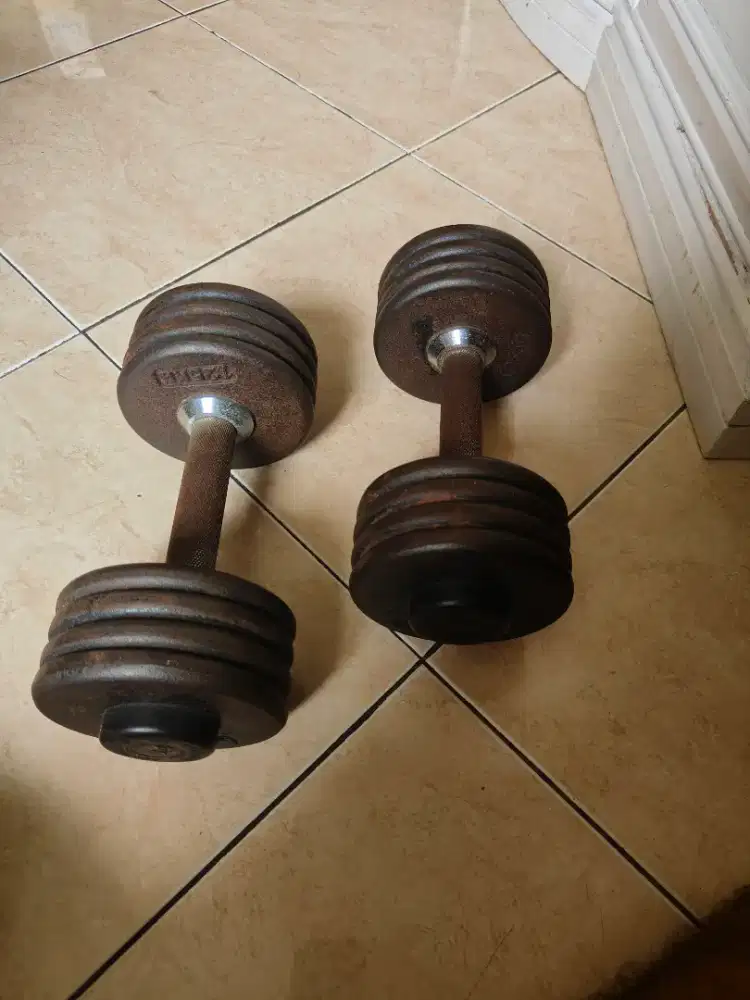 2 Dumbbell 10kg+ Sepasang