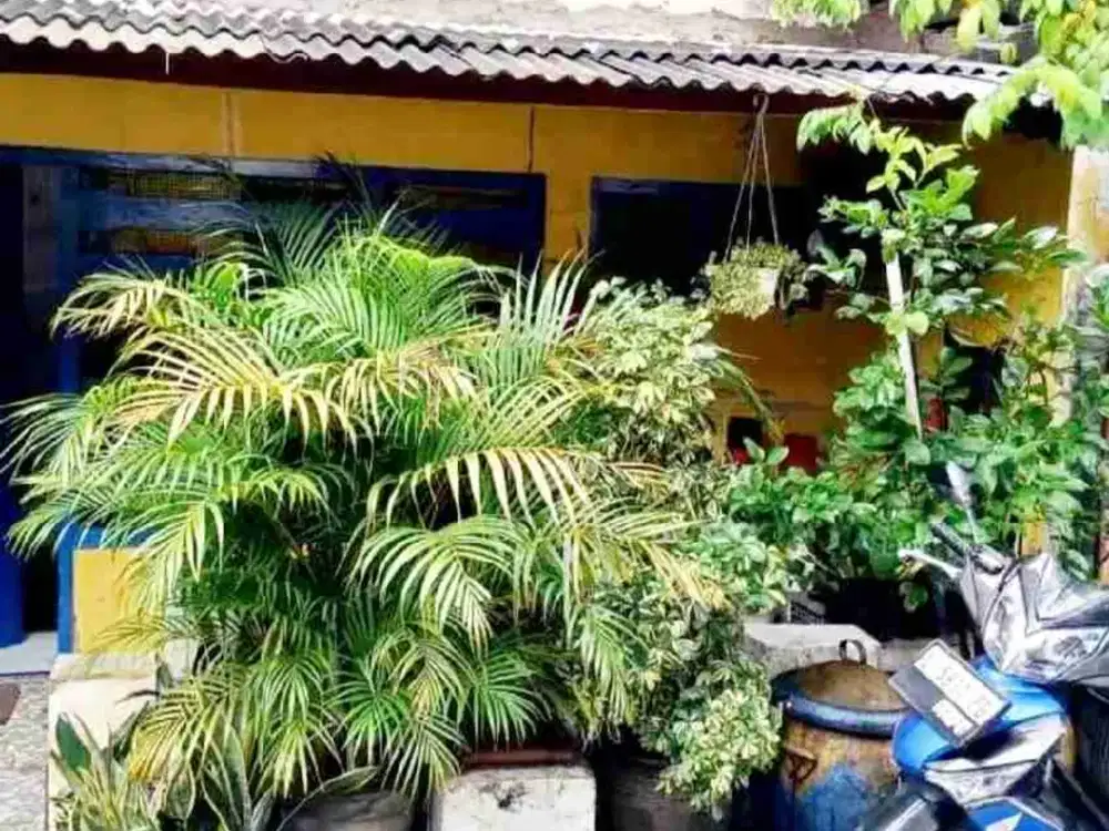 Rumah Murah siap Huni di Kapas Madya, Kenjeran, Sby Utara
