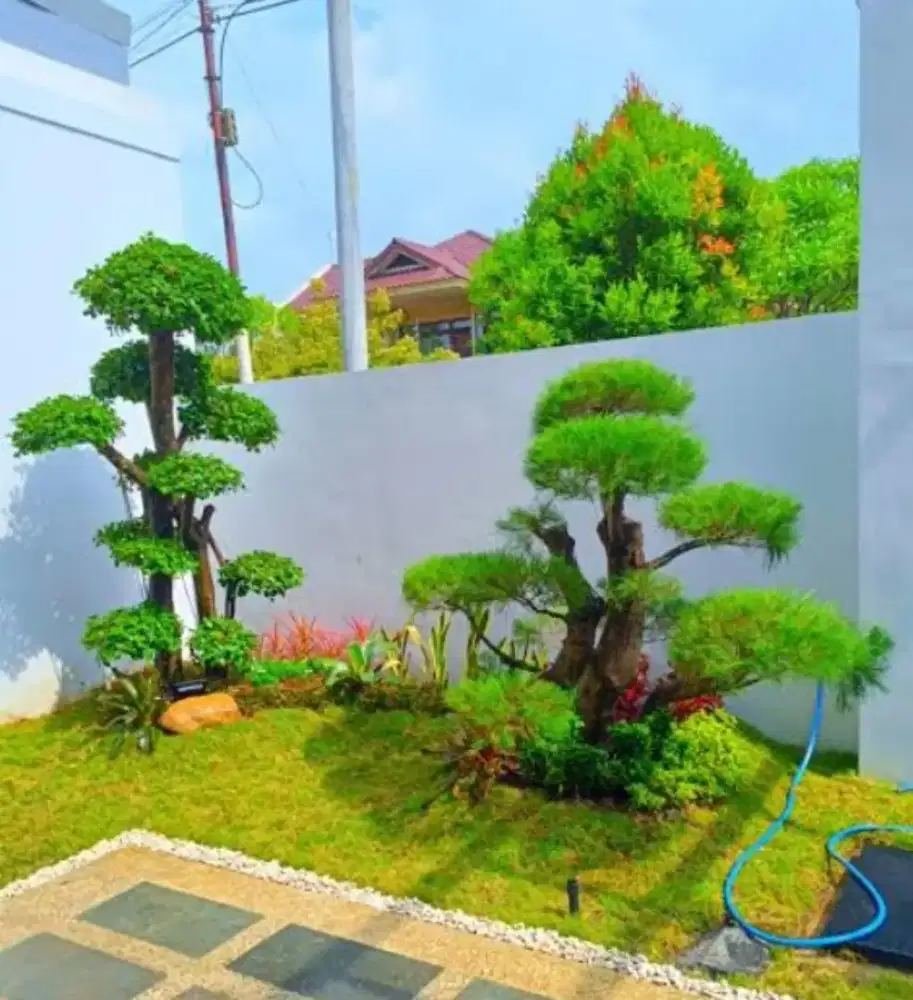 Menerima pembuatan taman rumah taman rumput gajah mini