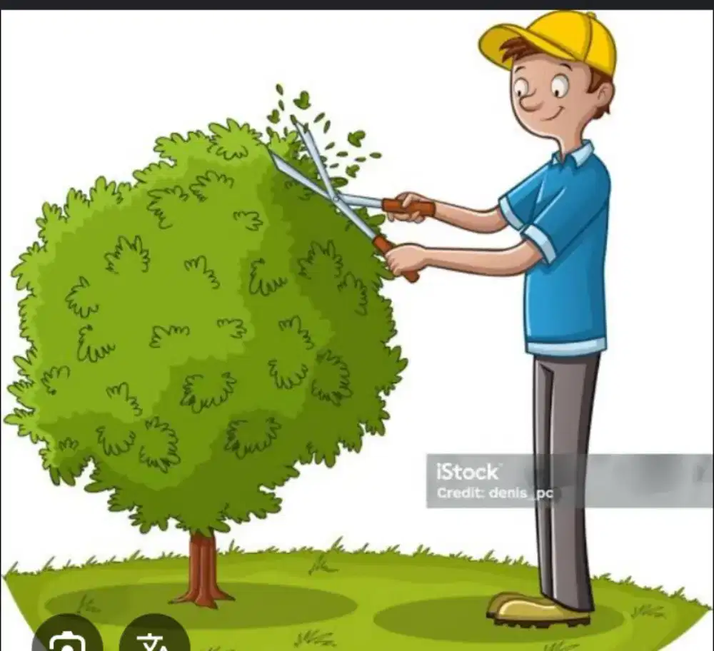 Jasa kebersihan taman dan kebun