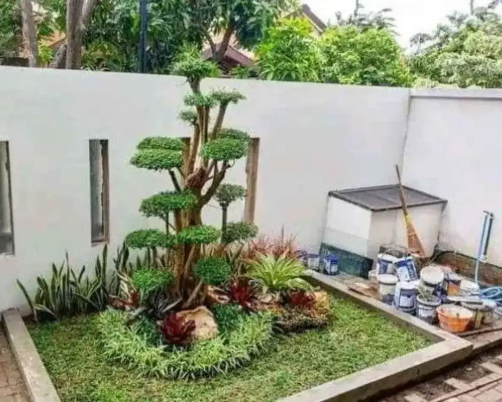 Jasa pembuatan taman rumputt taman rumah minimalis