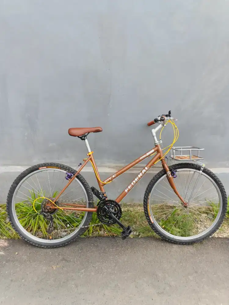Sepeda kalcer non federal kommuter bike frame lady polygon old