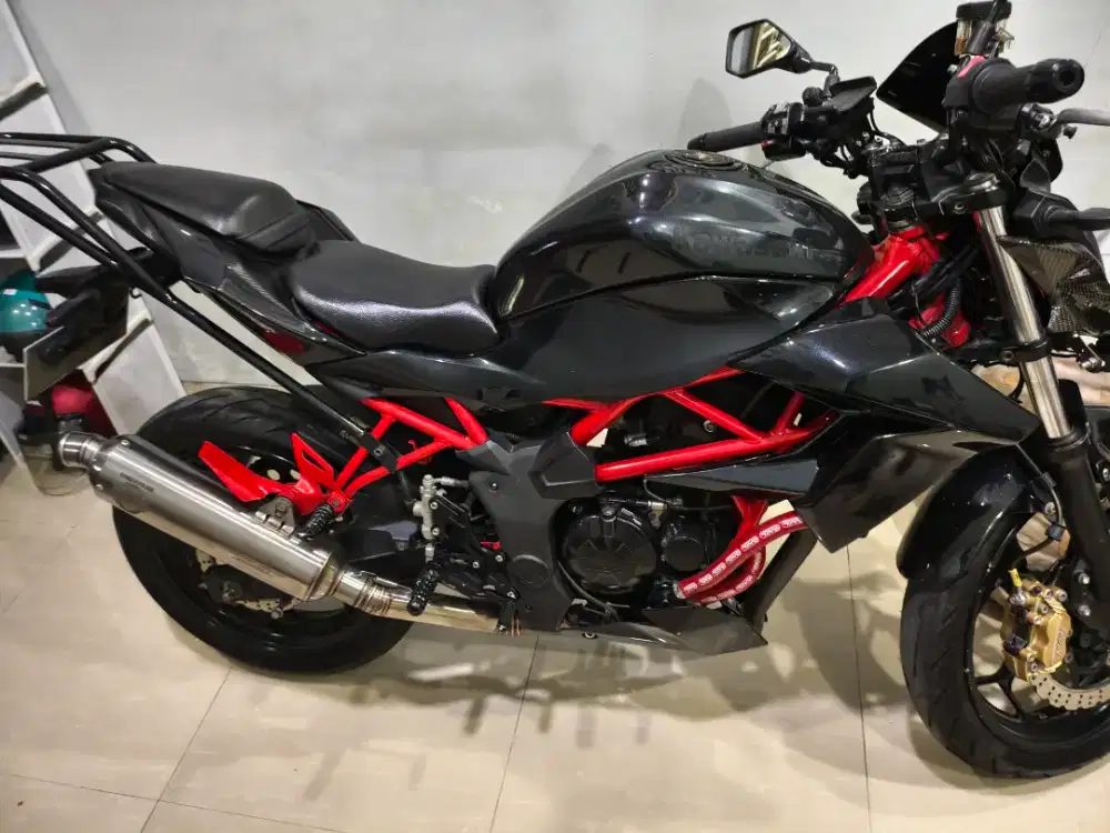 Kawasaki Z250SL Mono