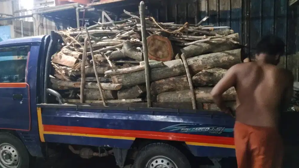 Jasa tebang pohon