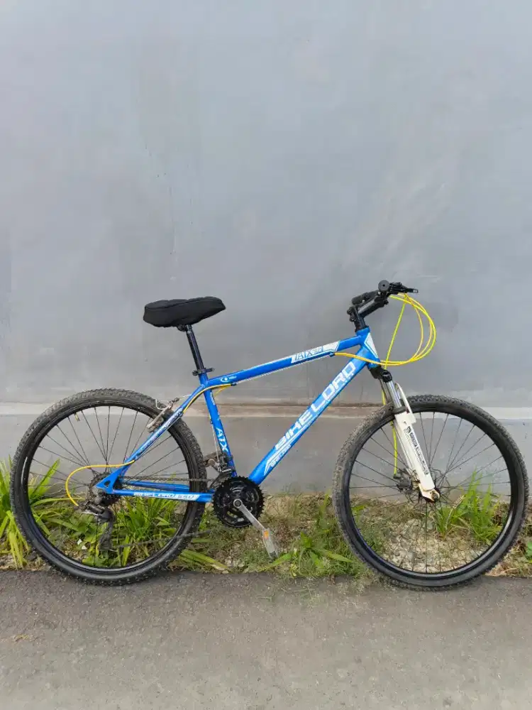 Mtb 26 bikelord