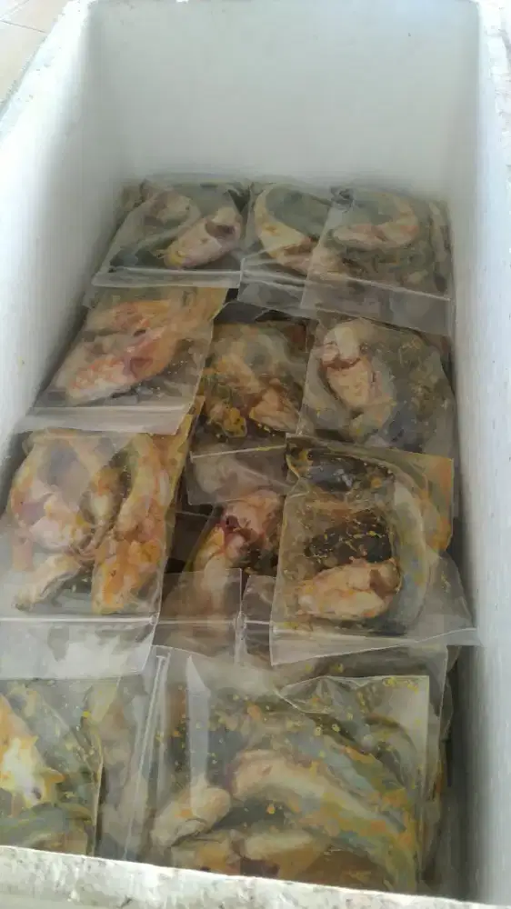 Jual ikan marinasi lele